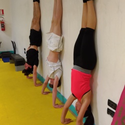 Calisthenics