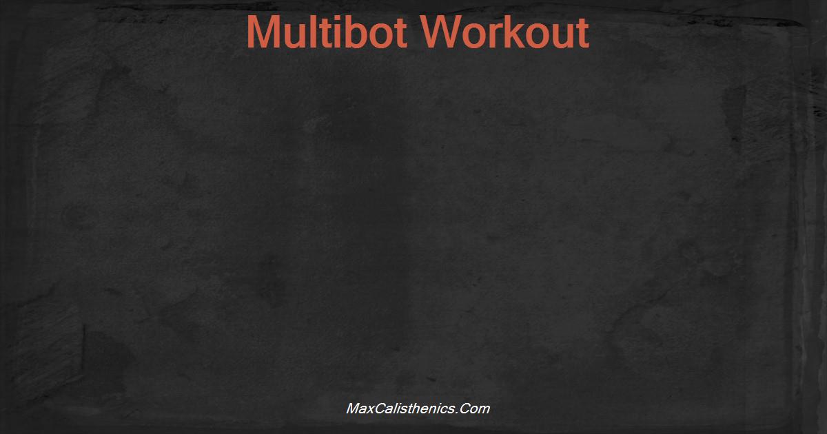 Multibot Workout